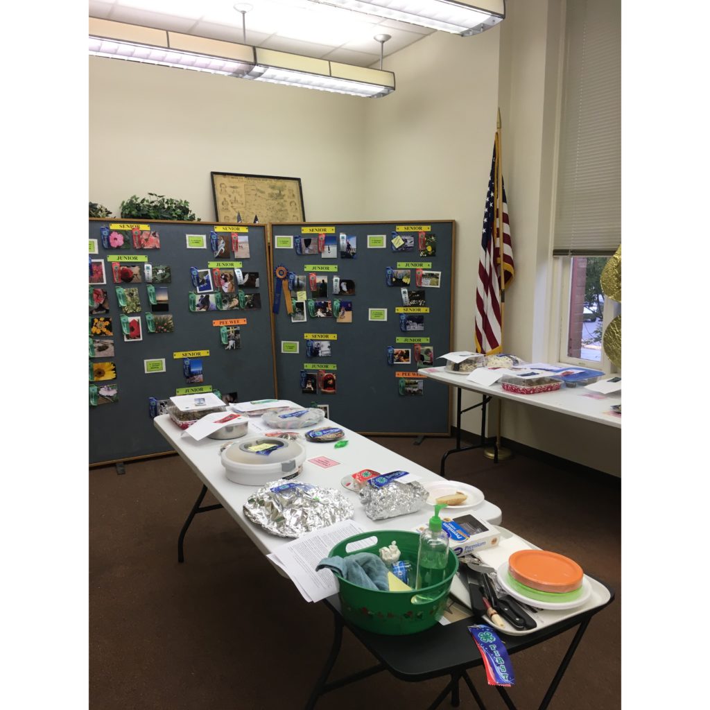 4-H Project Show photo entries, tupperware filled with cake, cookies, brownies, and breads.